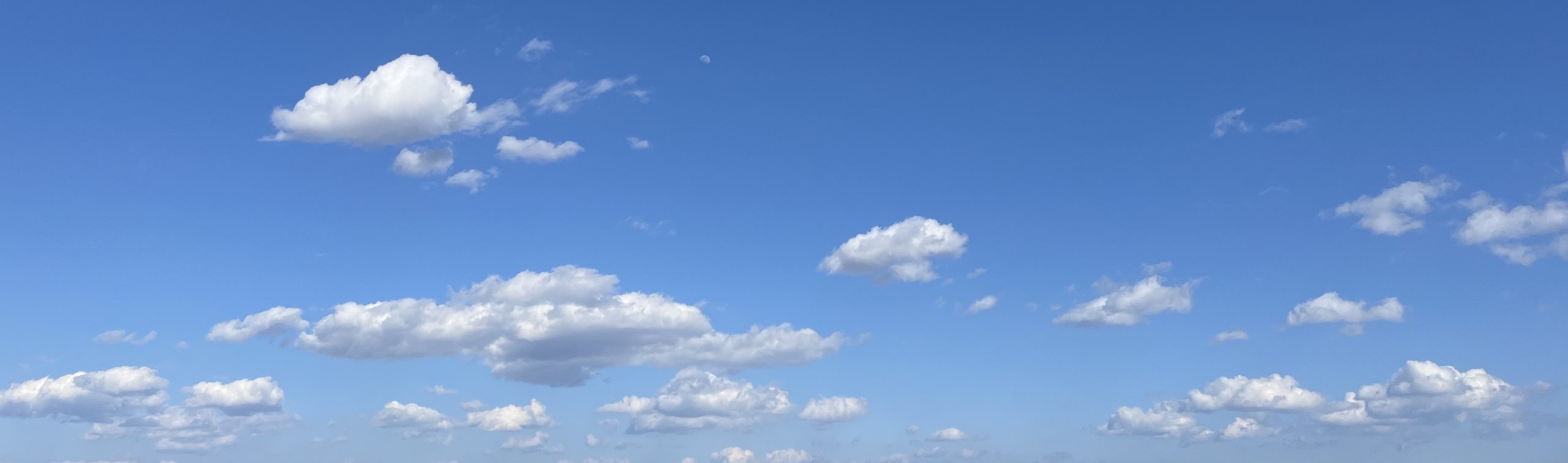 SHUNAX【消臭サプリ】口臭の原因｜舌苔って何？｜その他の原因は？｜